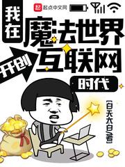 我在魔法世界开创互联网时代无弹窗