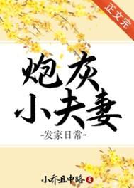 炮灰小夫妻发家日常txt