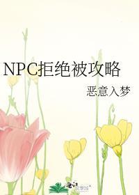 npc拒绝被攻略网