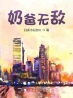 奶爸无敌作品大全