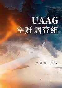 uaag空难调查组by莫晨欢讲了什么