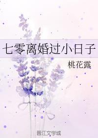 七零离婚过小日子